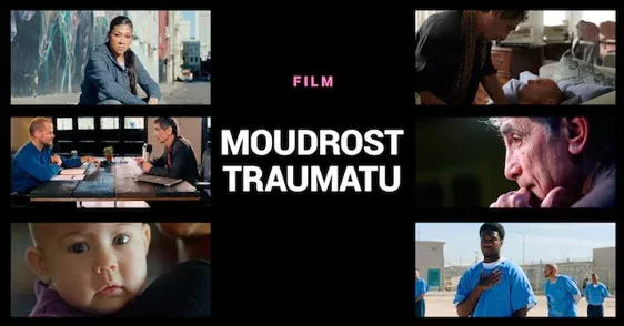 Film Moudrost traumatu